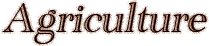 Agriculture